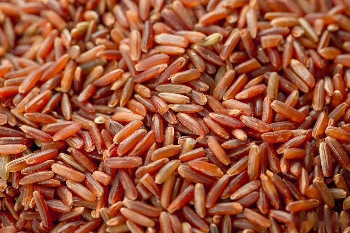 红米Note9和K30对比 5G手机选购指南