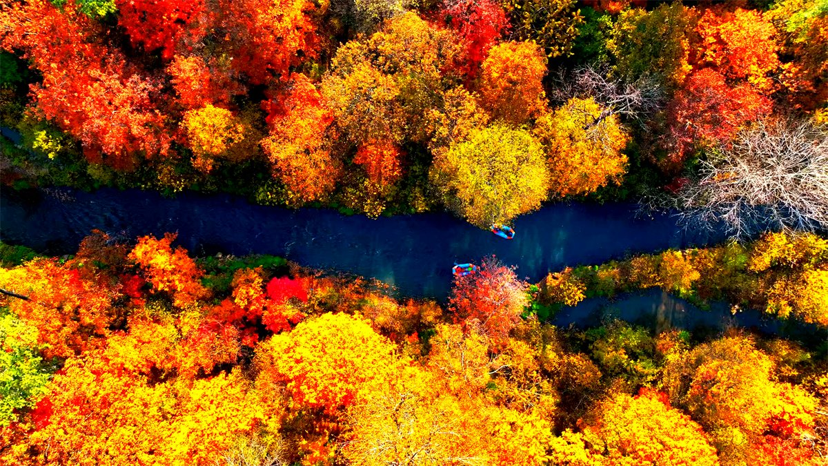吉林怎么找同城的人服务