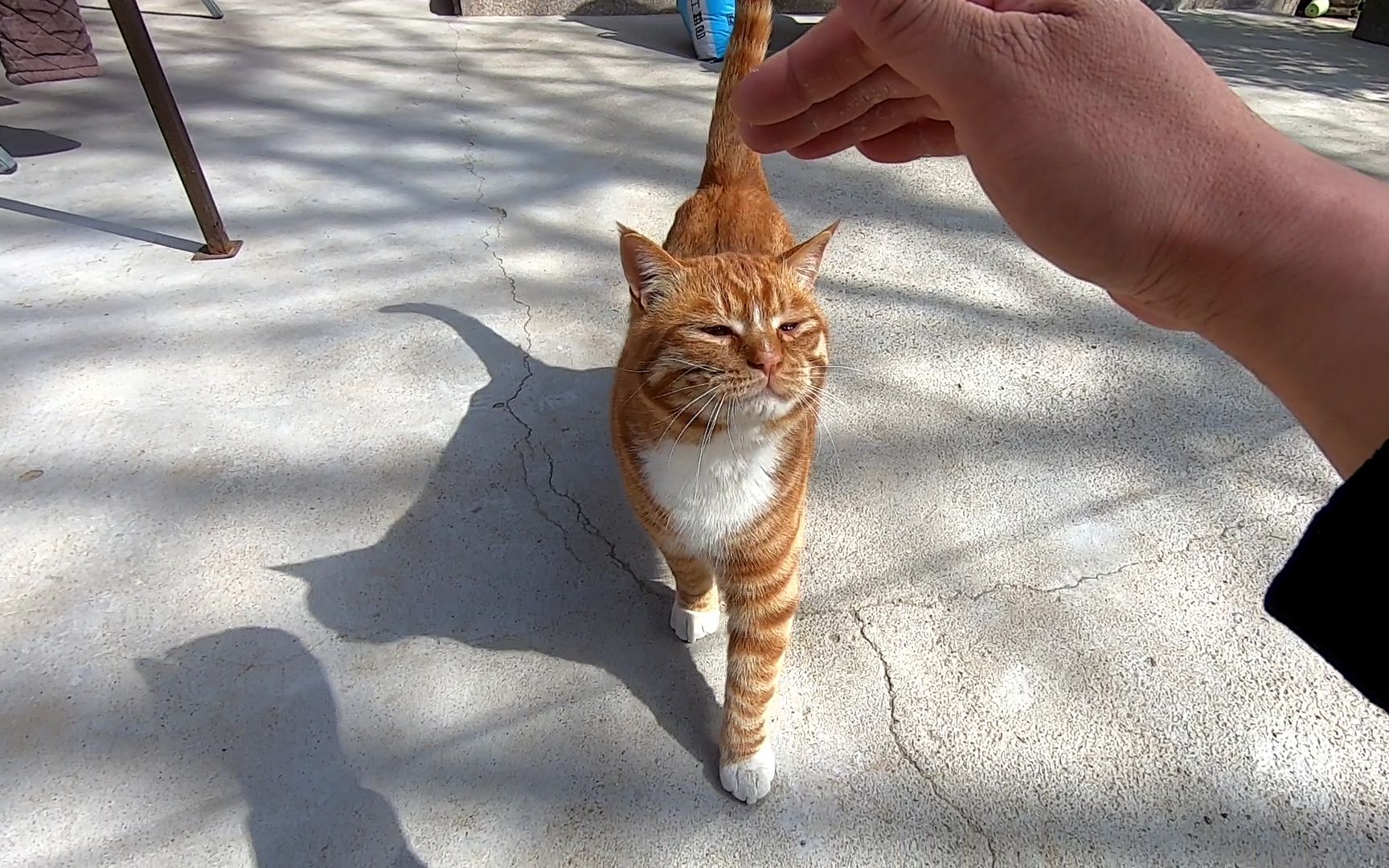 西安女学生随叫随到服务怎么用？_3步操作省50%沟通成本