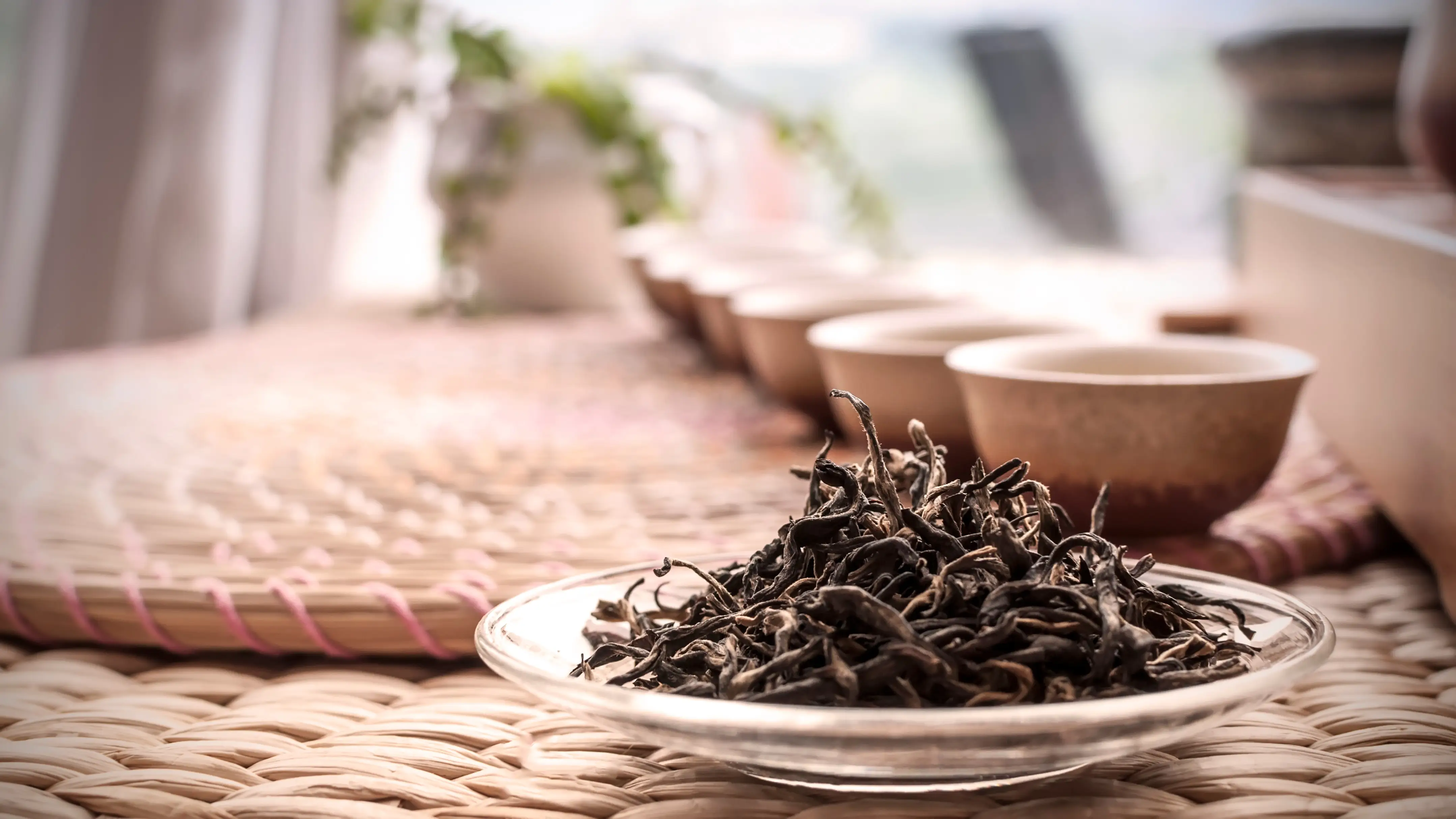 300元同城约茶全攻略：新手如何避开坑