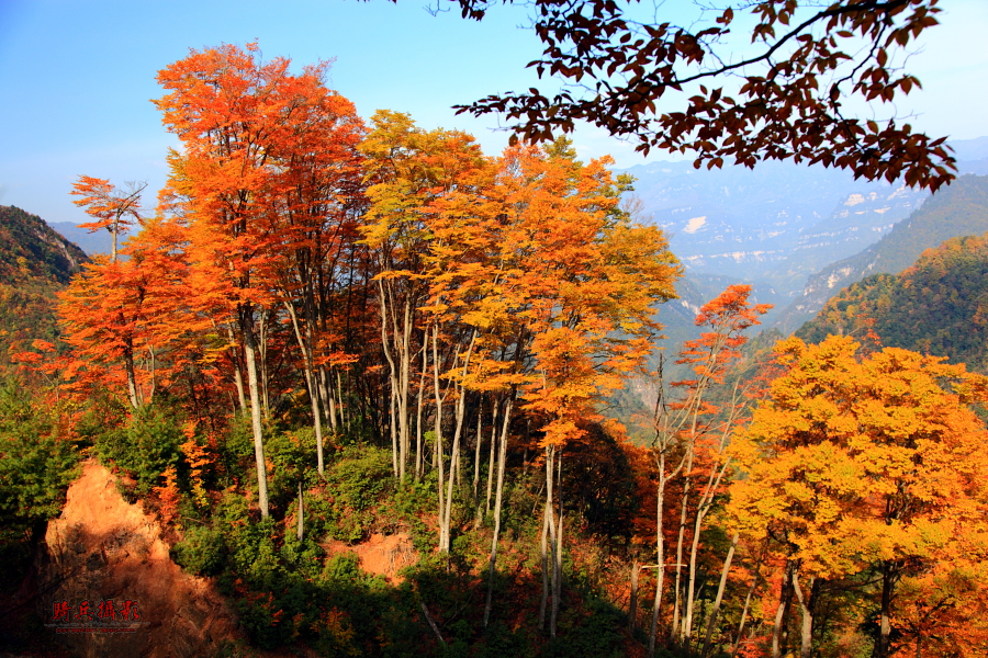 巴中100元钱一次的女农民工到哪找
