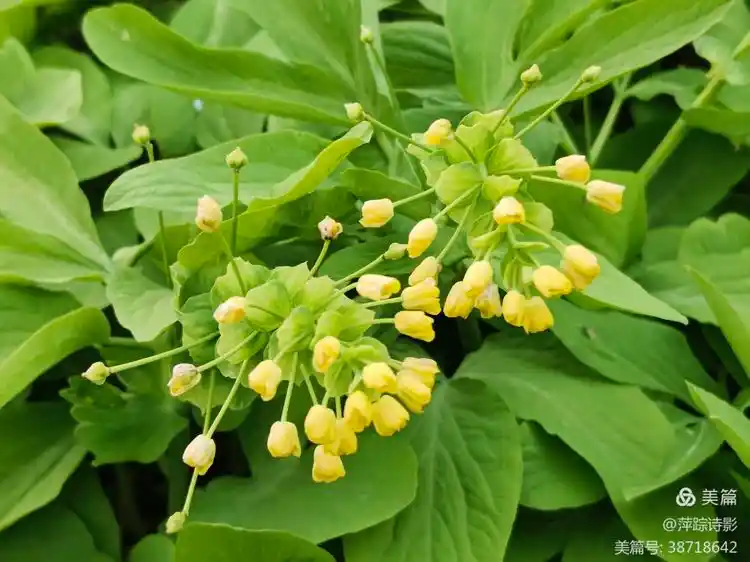 一品论坛寻花攻略：安徽江苏怎么玩才不踩坑？