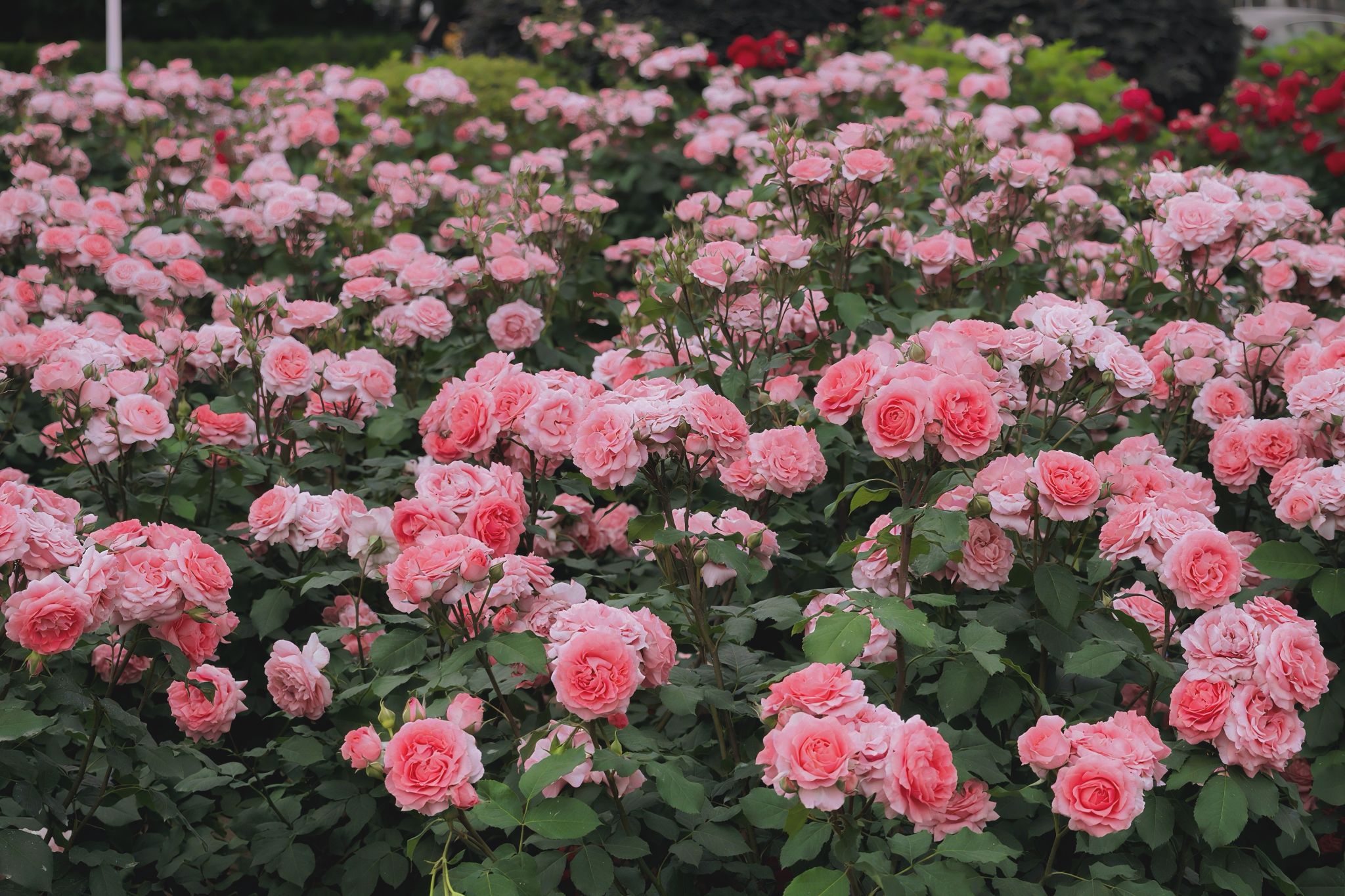 突发事件！杭州百花坊坛真的值得一去吗？探寻文化魅力与隐藏挑战