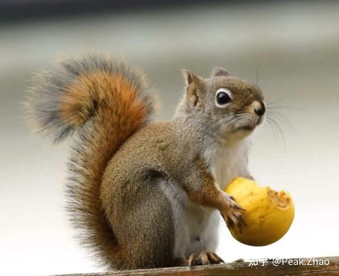 近期在社交媒体上热传,洗脚按摩9295到底靠谱不？专业人士亲测体验分享