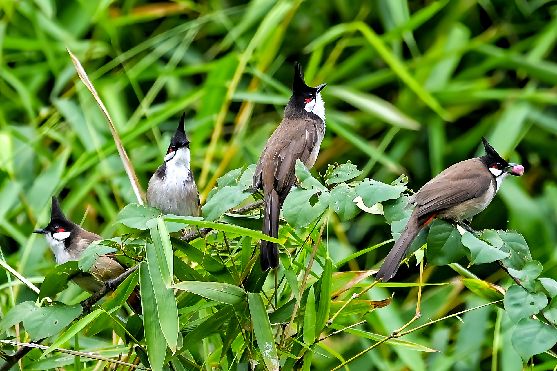 与你同行：探讨群居时代的人际关系与自我再造