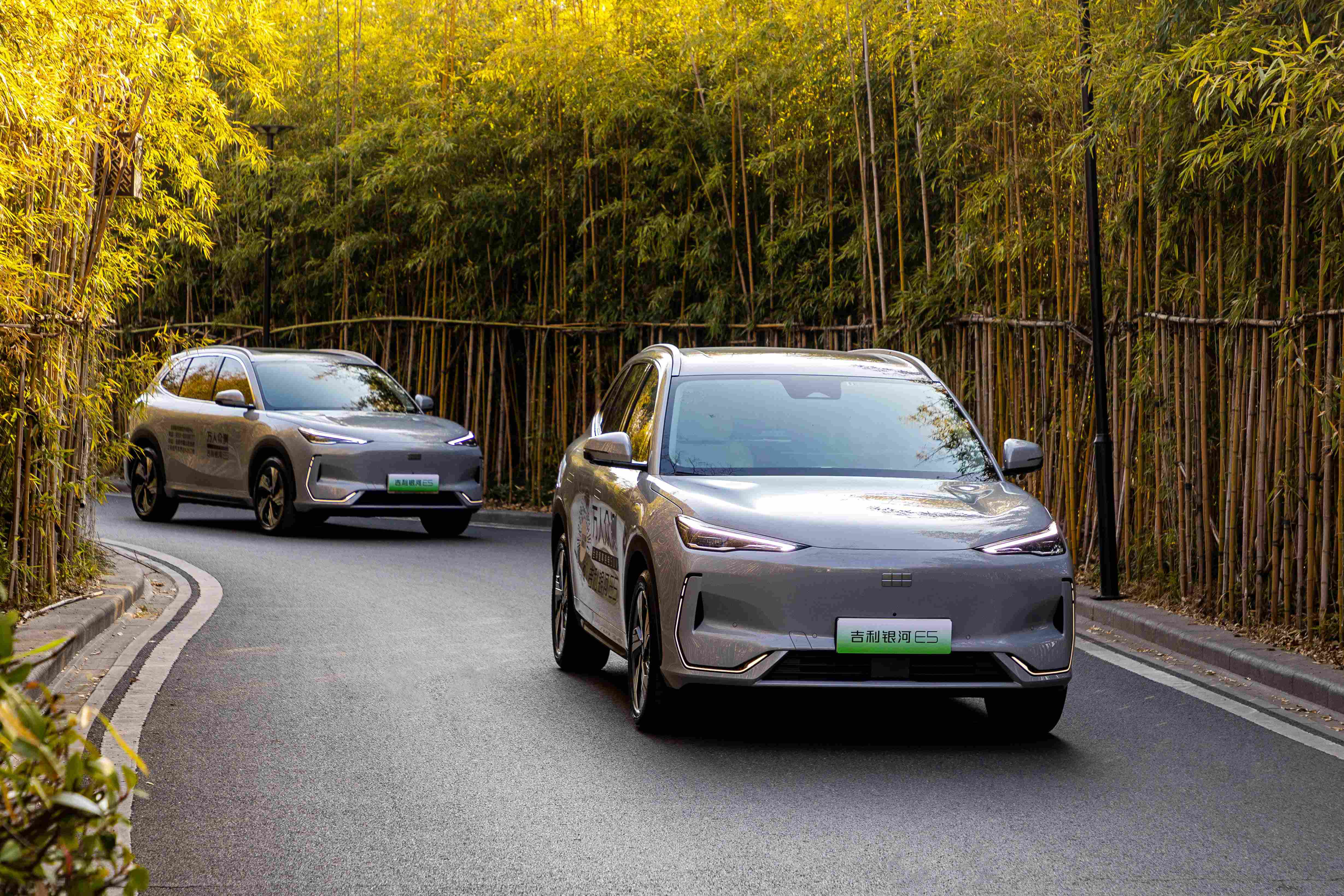 新泰24小时上门茶