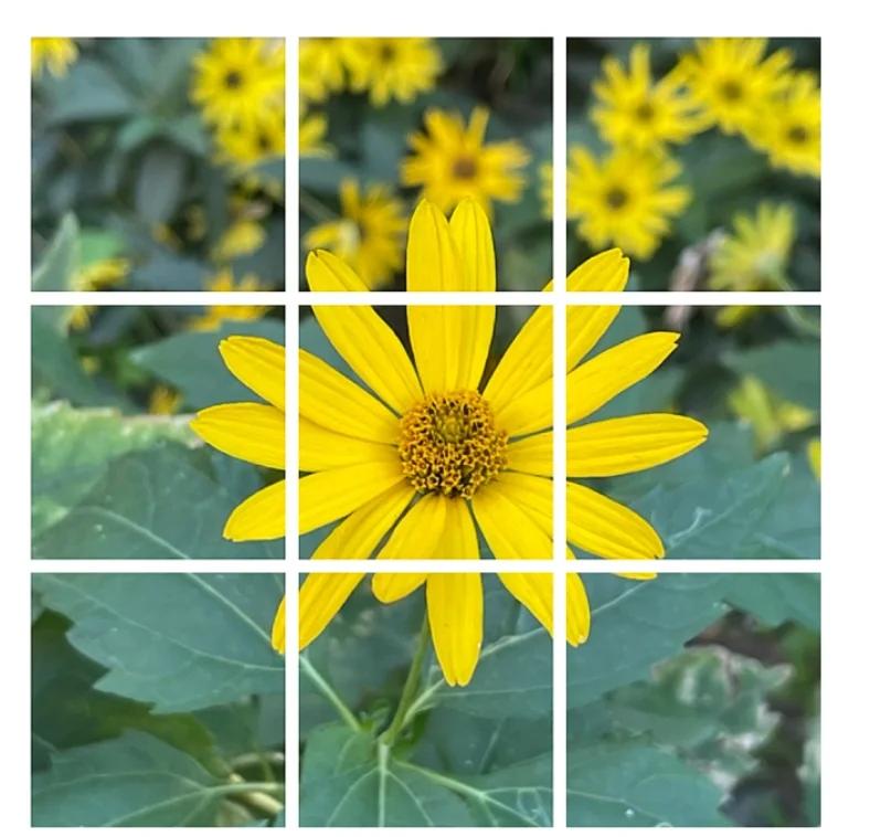 ps批量切图教程