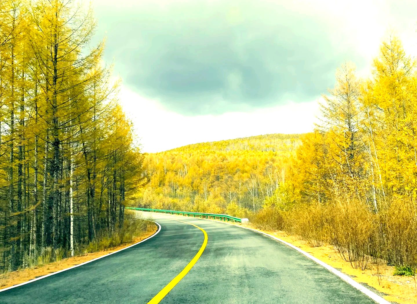 满洲里私人工作室新茶靠谱吗