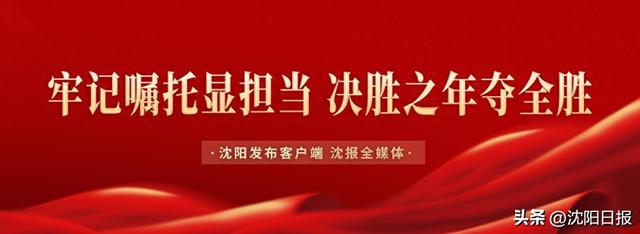 全国空降的战略价值与实战解析,深度剖析跨区域资源调配的决胜逻辑