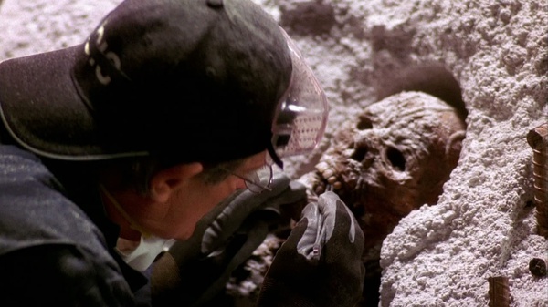 全国高端空降服务二维码：一站式解决方案全解析