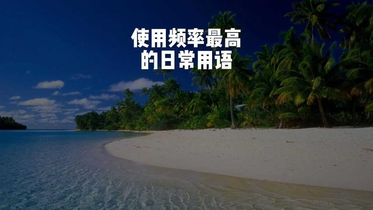 肇庆美团如何点小姐姐送外卖及网络用语解析