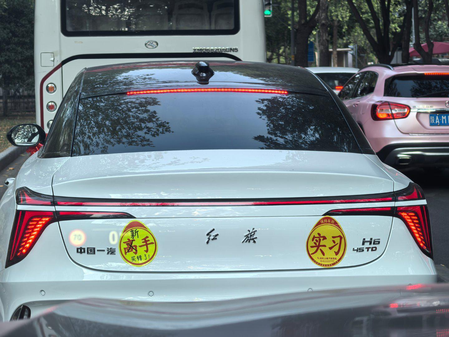 凤凰楼免费茶楼是怎么吸引新手小白的？