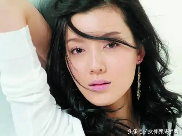 广州品茶海选指南,探寻茶文化的城市脉络