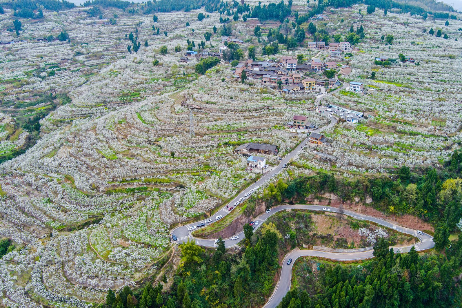 达州高端大选海选实体店——四川达州为何如此独特