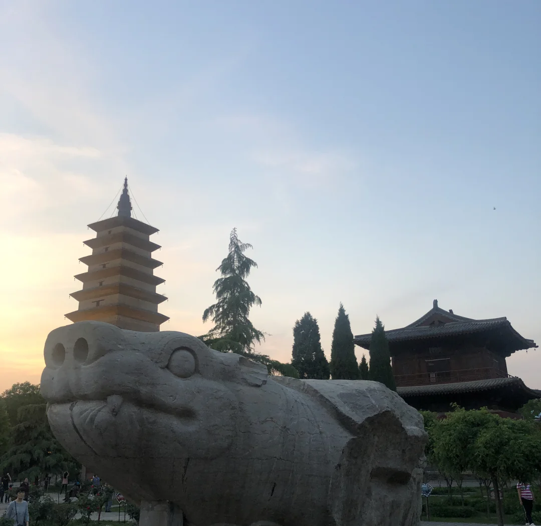 十五平米里的江湖：QQ包小妹快餐如何用一笼包子拴住半座城