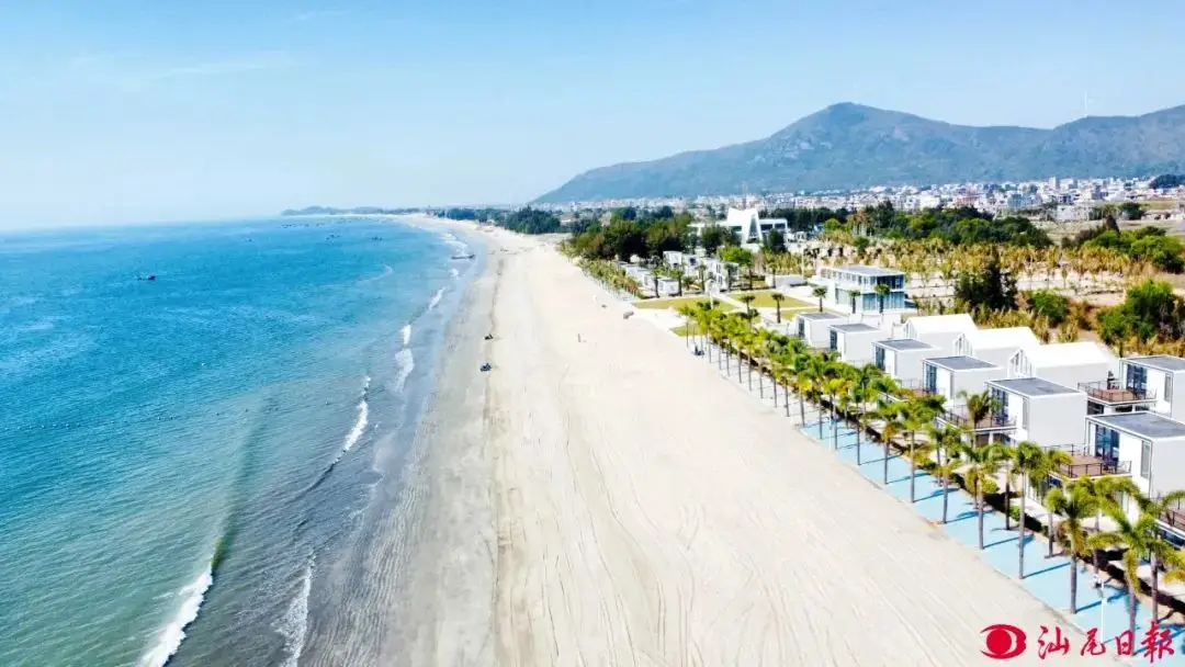 汕尾100米内学生约