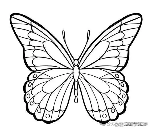 鼠绘动漫眼睛教程