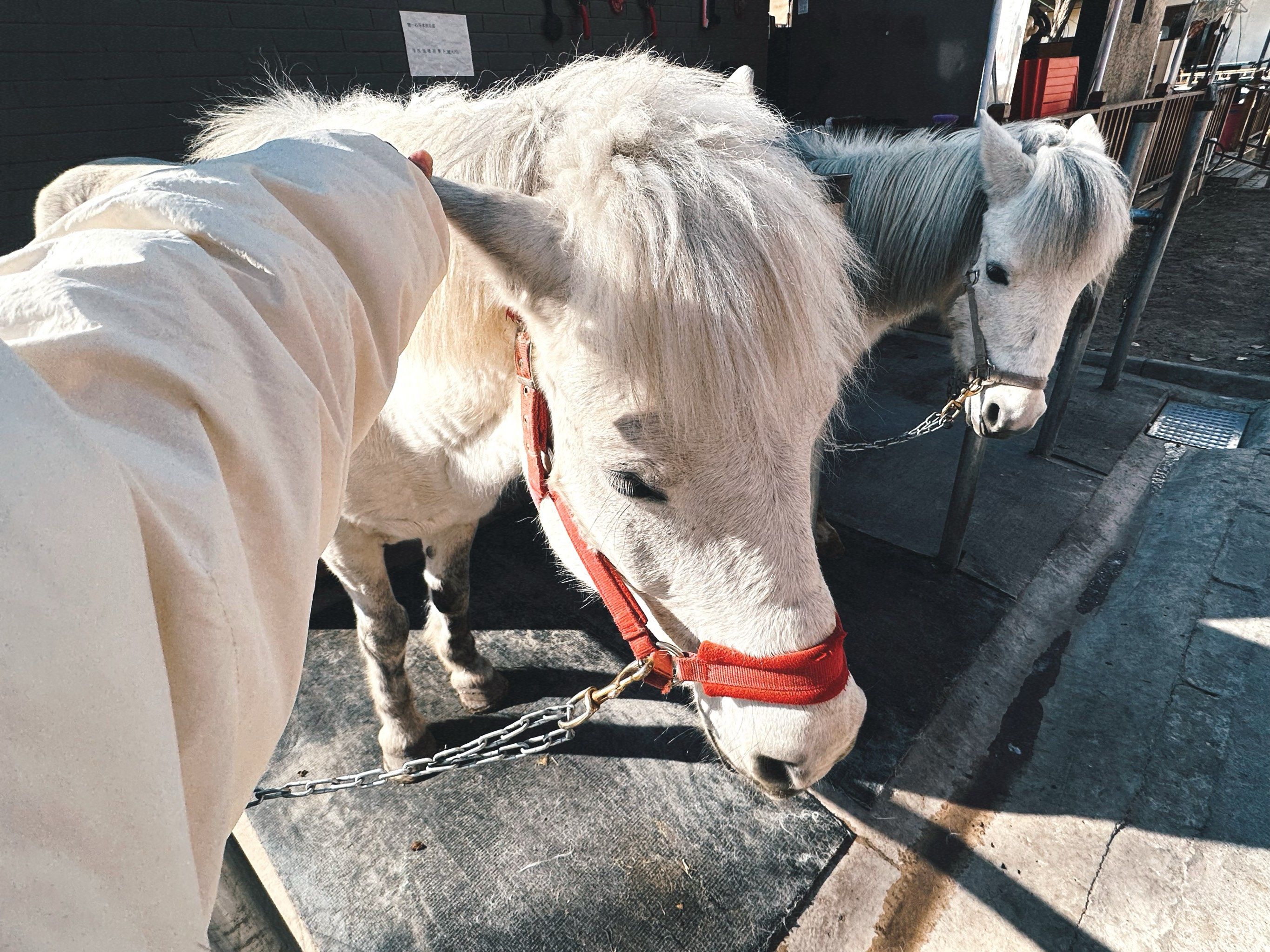 小马激活工具可靠性分析 小马激活工具使用步骤详解