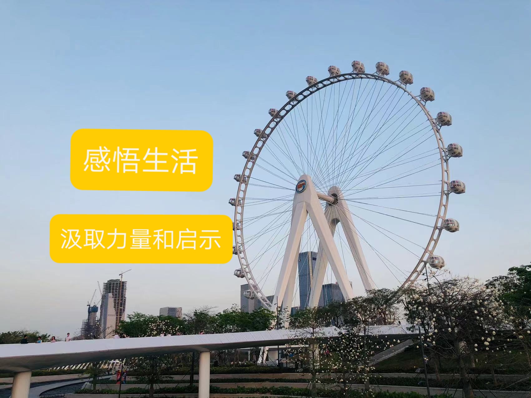 唐人阁论坛品茶文化深度探秘：从入门走向精通的茶道之旅