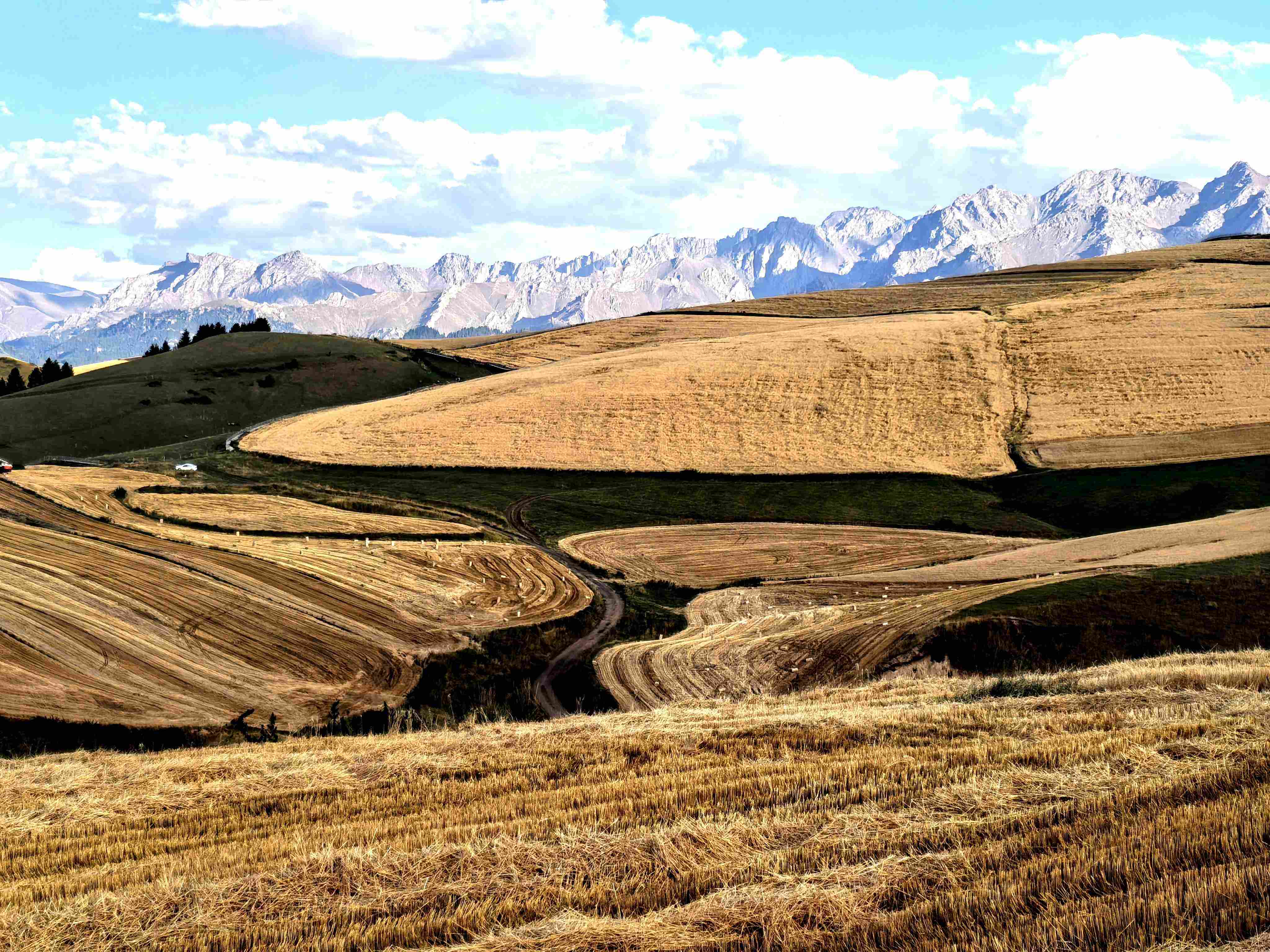 肇庆陌陌上如何找服务