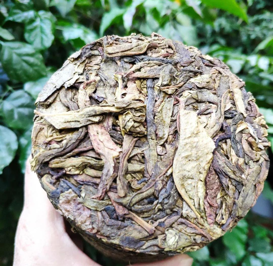 普洱到一个城市怎么快速找到小姐