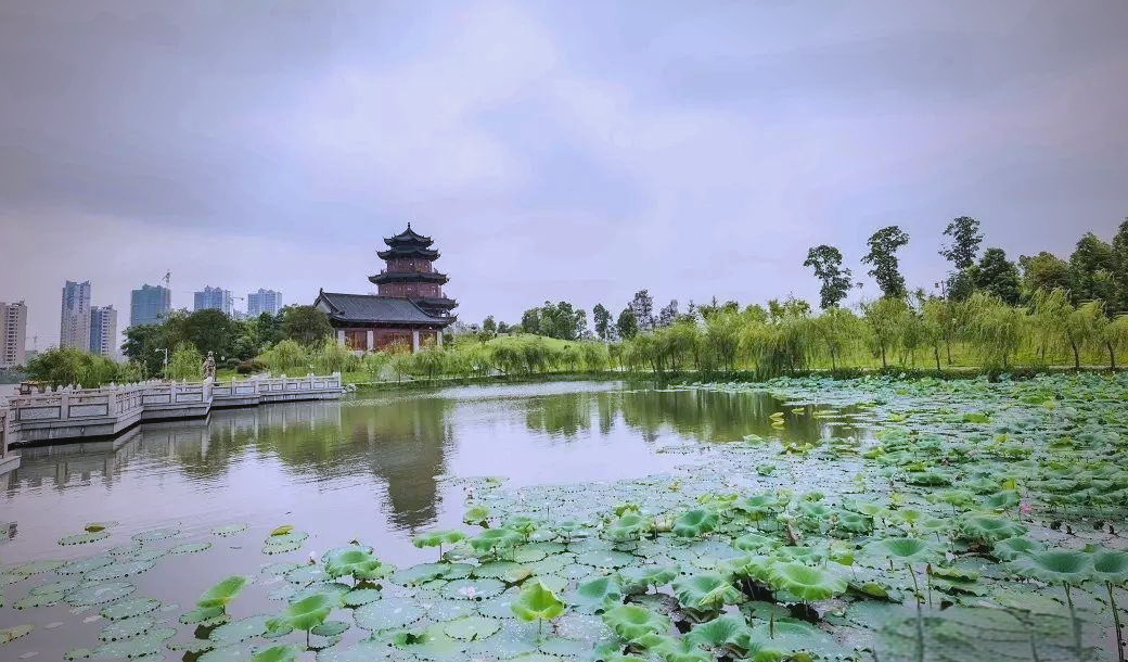 抚州万达598spa——抚州热门酒店及SPA详细解析