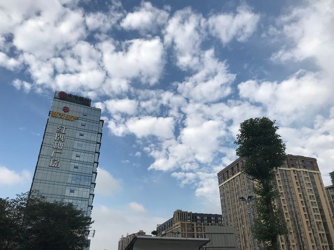 对抗尾气污染，公交免费可行吗...