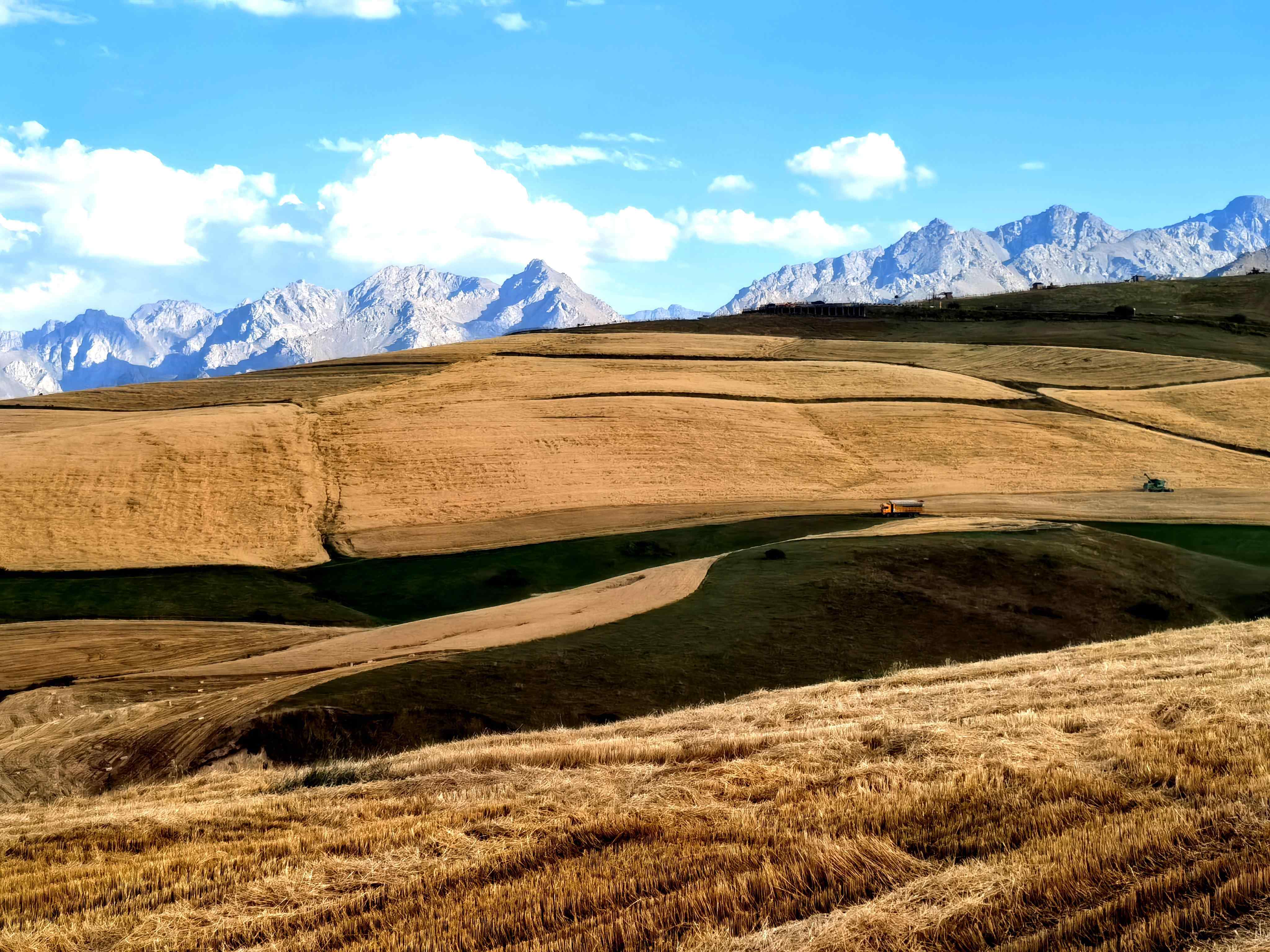 昆明在陌陌怎么找卖的