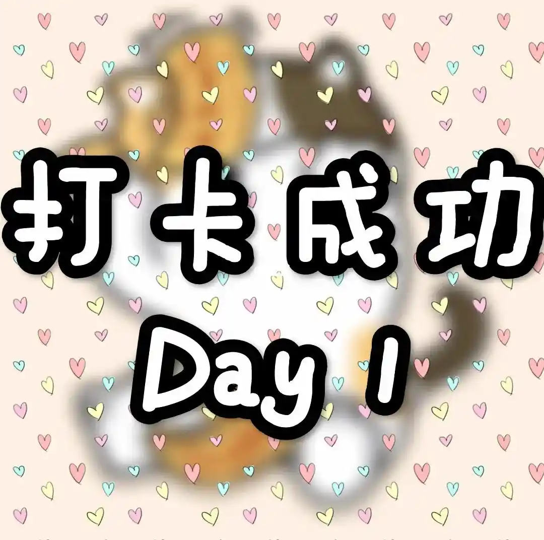 绥化那里有站小巷的