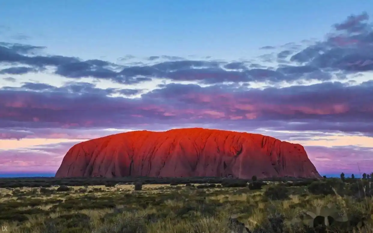 全国商务外围高端安排方案究竟有哪些独特之处？