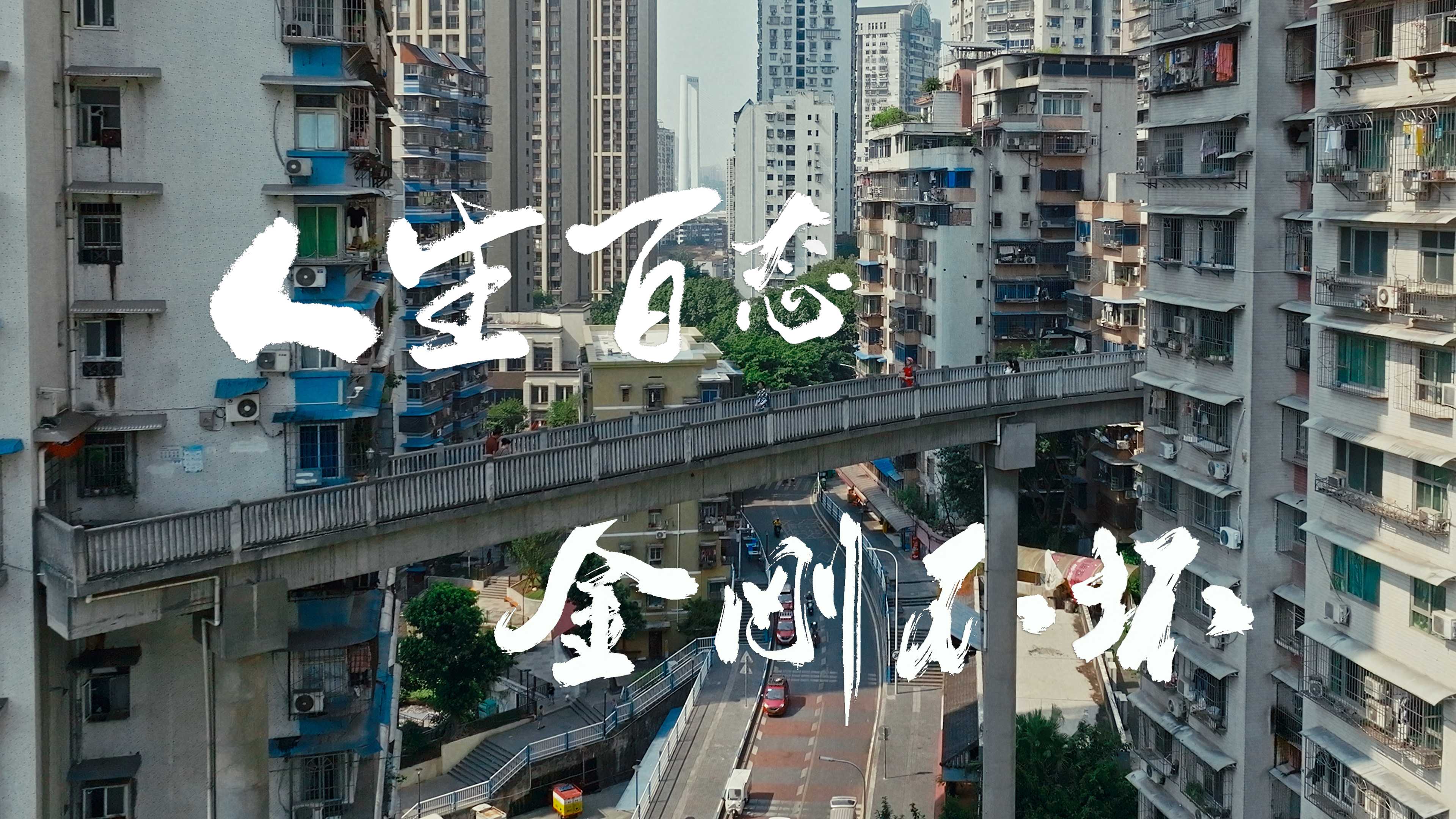 公园快餐交易视频的百态观察,揭秘100种街头美食的流动江湖