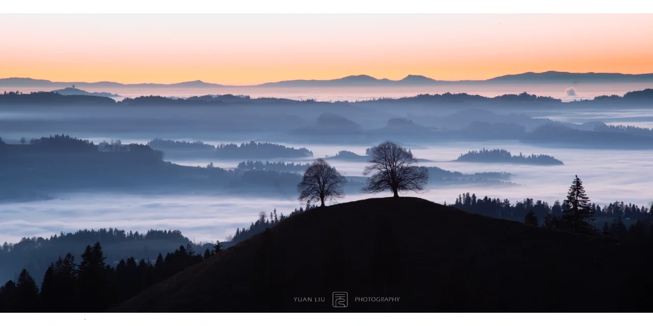 一场重大政治风波引发了关注污污污40@分钟到底是什么？实测解析与日常应用指南