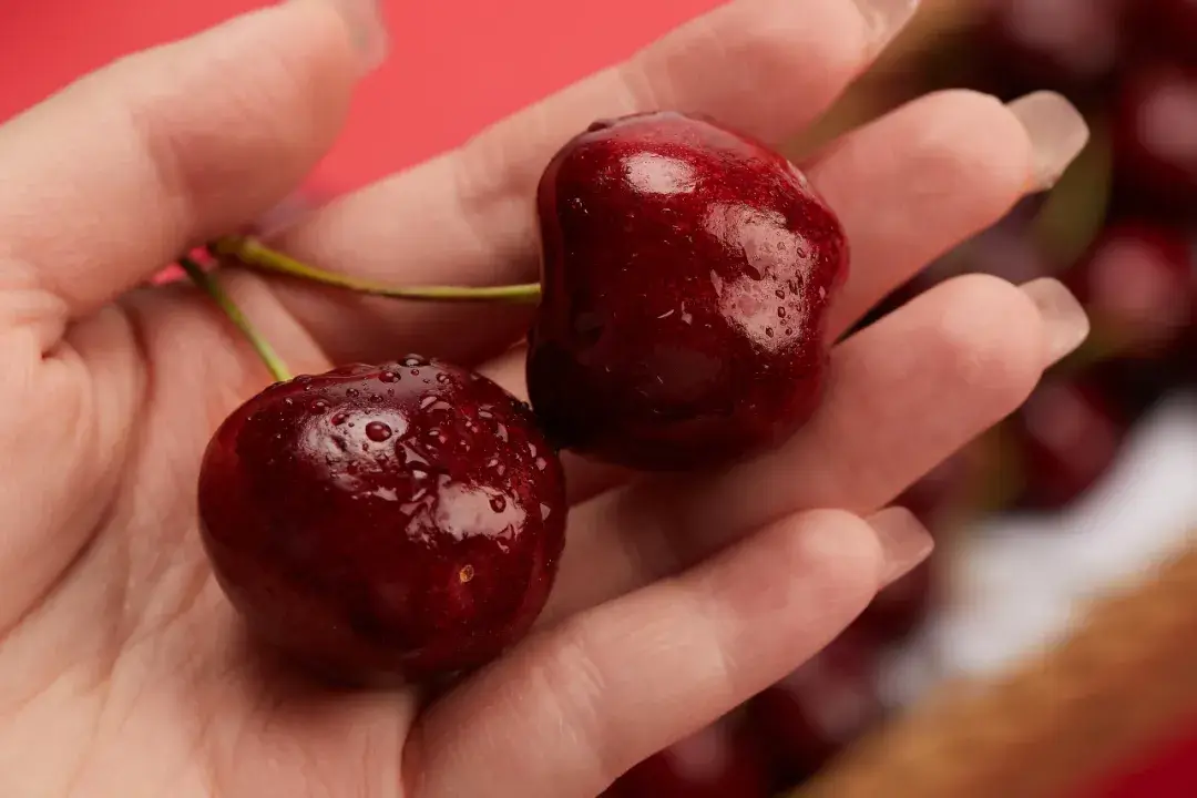 重庆口爆哪里最值得新手尝试？盘点小姐姐含义和新手必备攻略