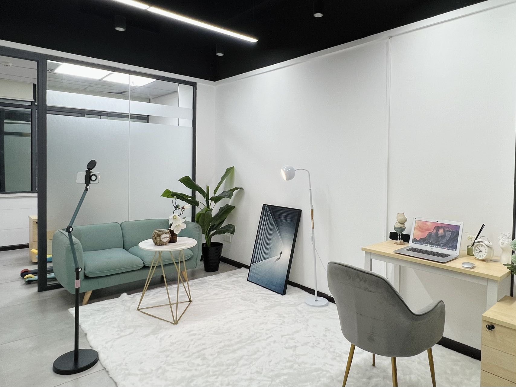 黄山品茶私人工作室大选