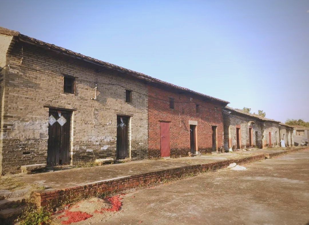 值得关注的新闻大事件：虎门赤岗广场小巷子晚上有吗2025？实地走访与真实情况解析