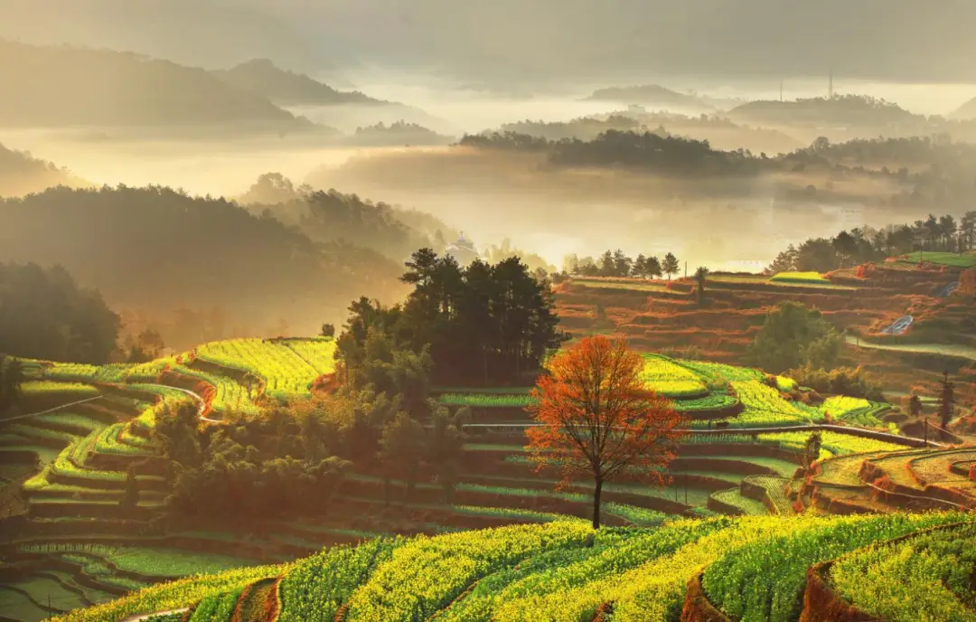 温州100元上门四个小时怎么收费 温州100元上门四小时怎么算