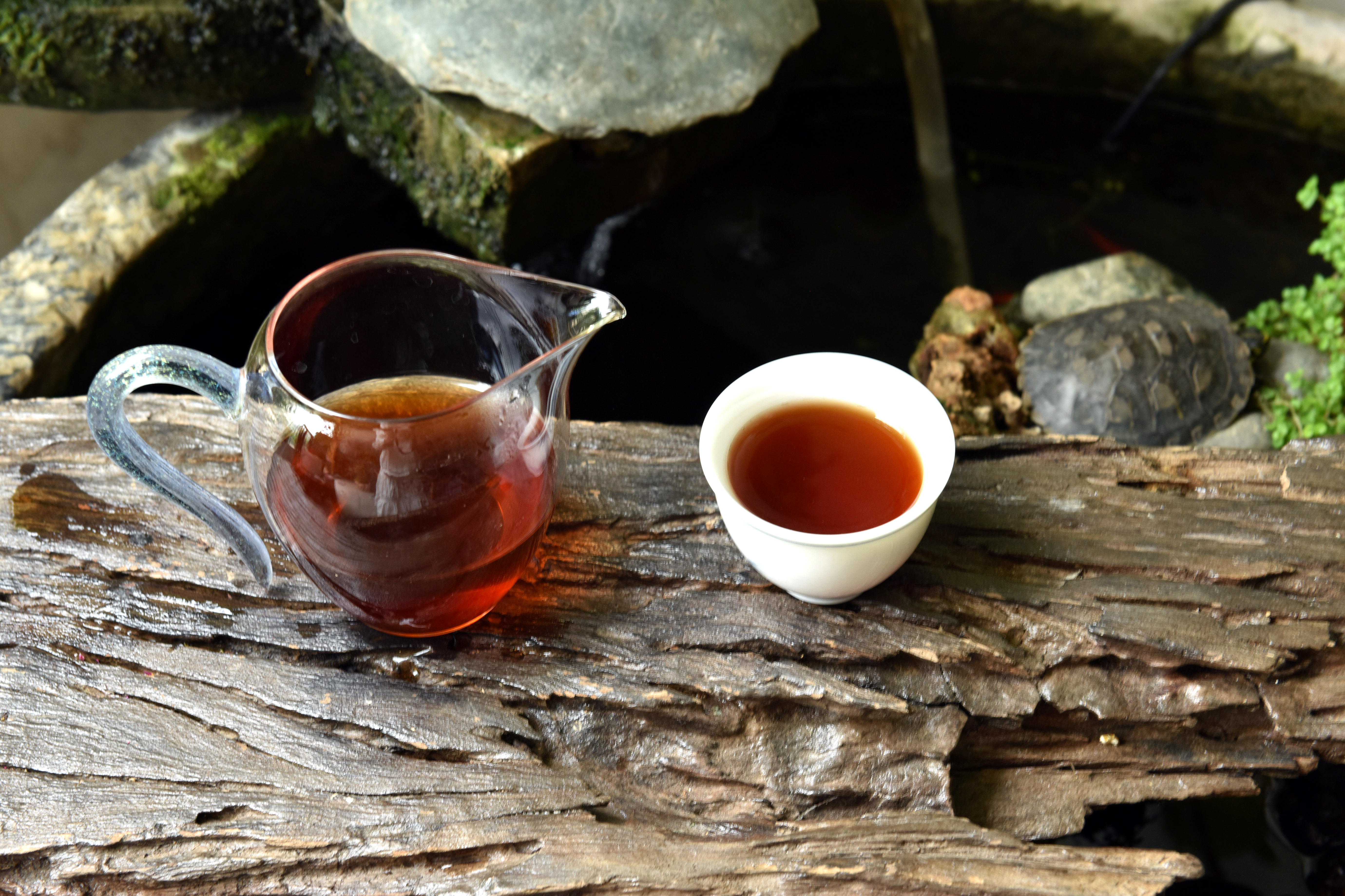 三亚新茶品鉴全攻略：从雨林古树到黎家茶席的沉浸式体验