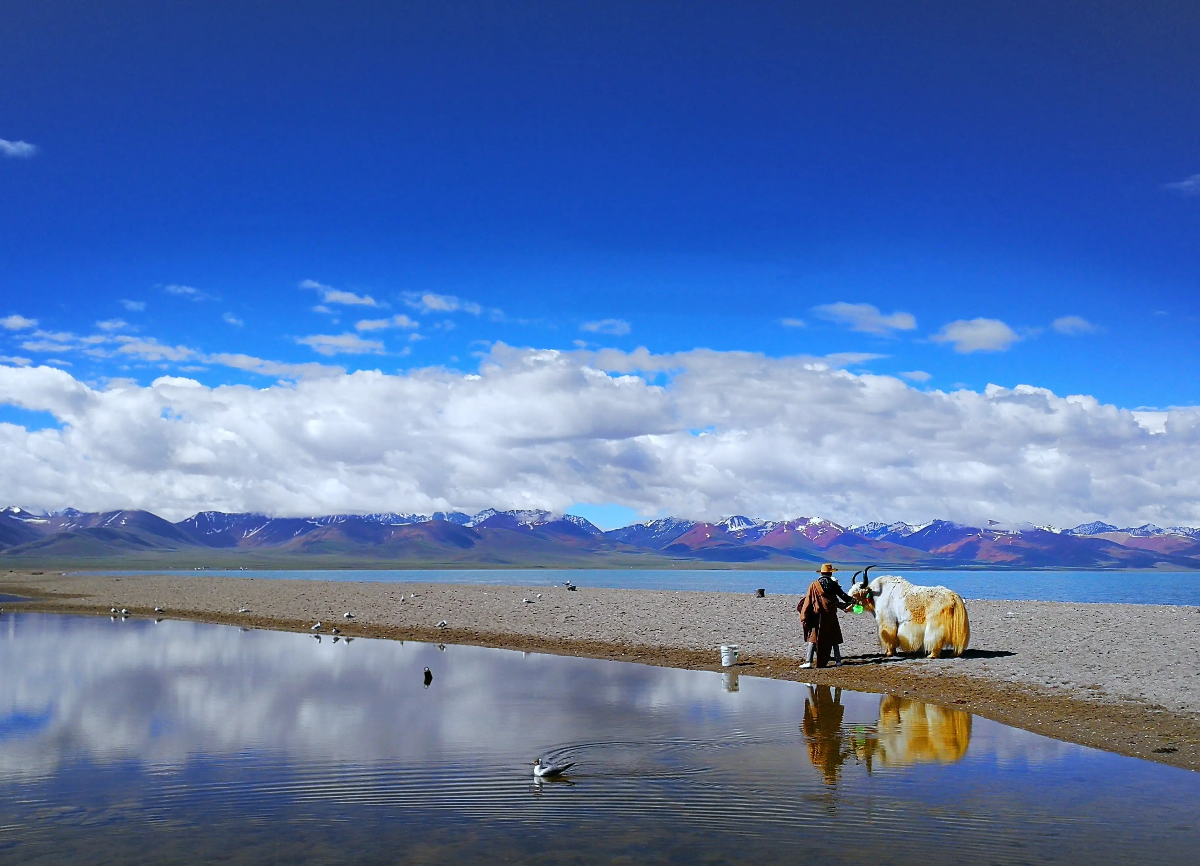 林芝附近找人睡觉电话