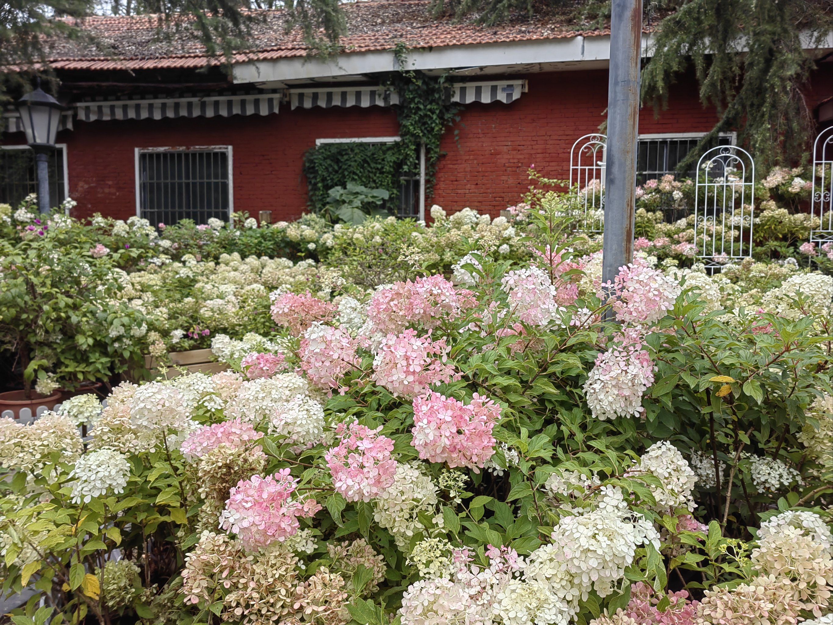 根据最新调查显示,阿拉上海后花园论坛到底怎么样？深度体验与用户真实评价解析