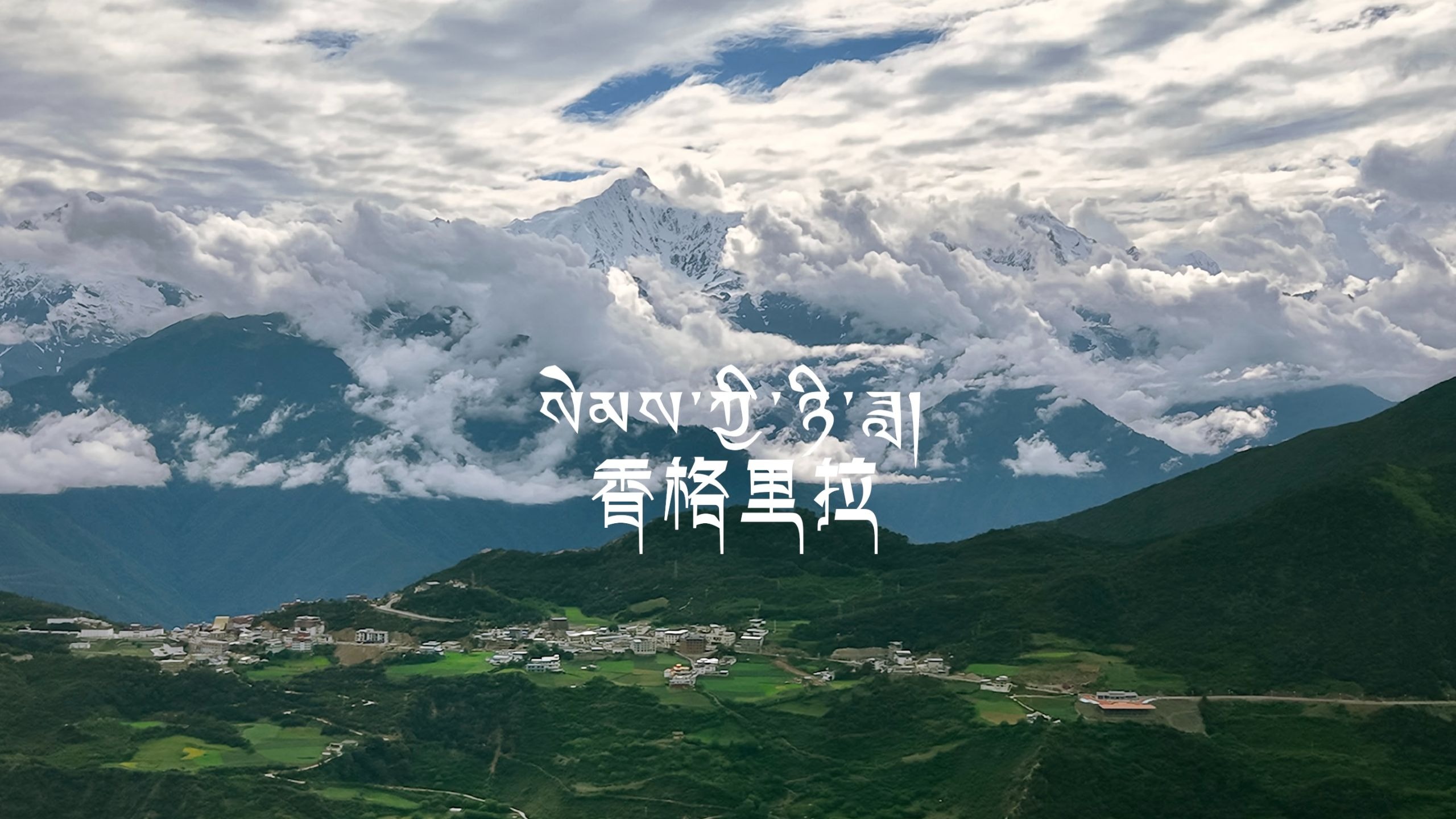 香格里拉网上预约高端模特