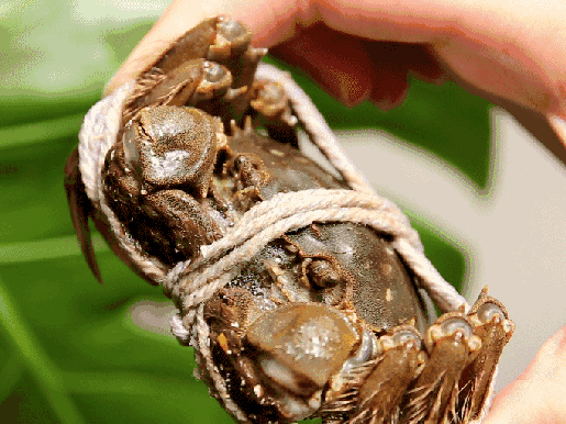 重庆口爆哪里最值得新手尝试？