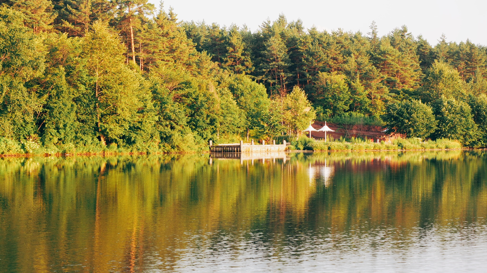 广州同城约茶攻略：500元一晚的避坑指南