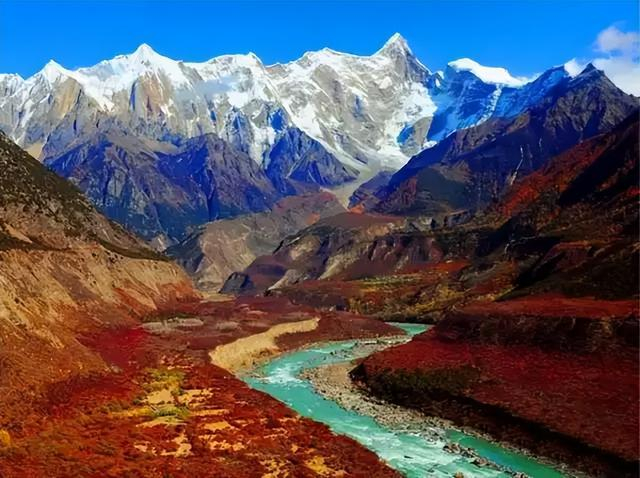 林芝微信800快餐人到付款