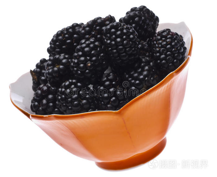 黑莓52blackberry论坛账号激活 最好的黑莓论坛推荐