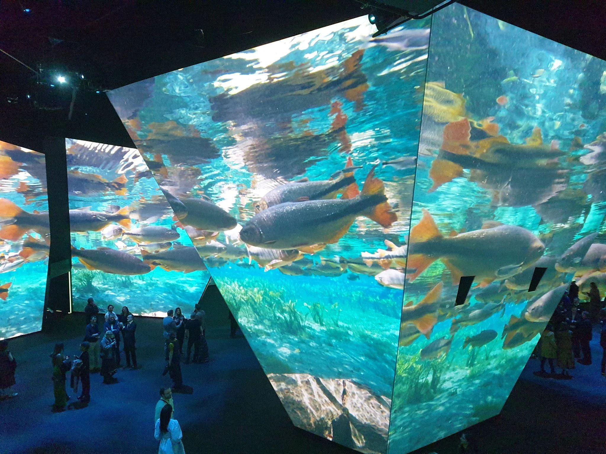 500元3小时不限次数服务的深度解析，性价比与体验的双重思考