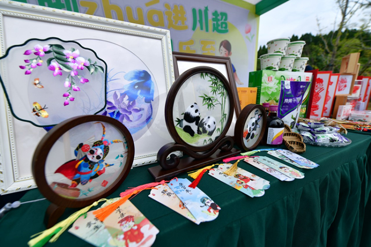 资阳100元4小时服务是否靠谱 挑选资阳职业学院住宿和专业要点解读