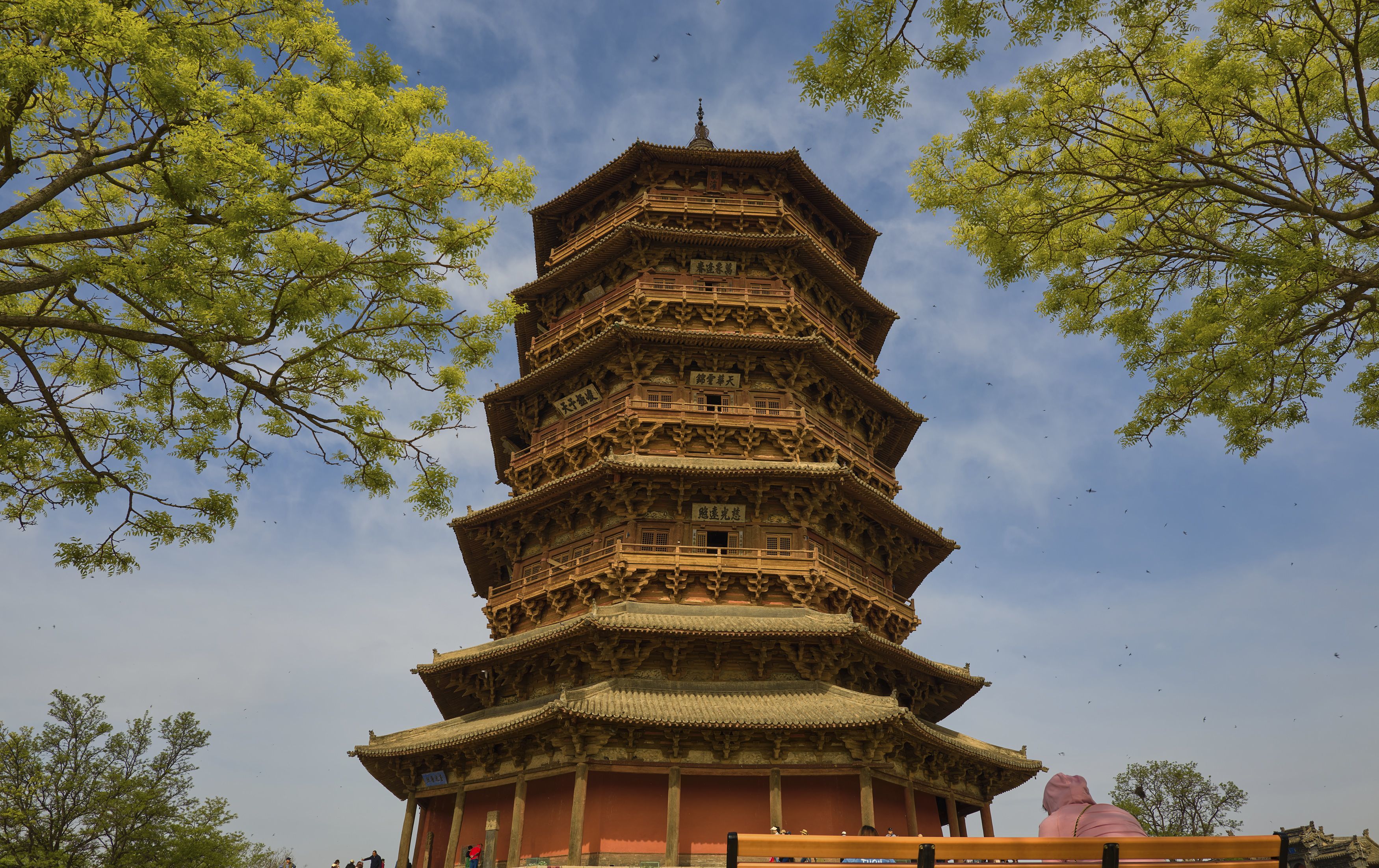 朔州附近的人600两个小时