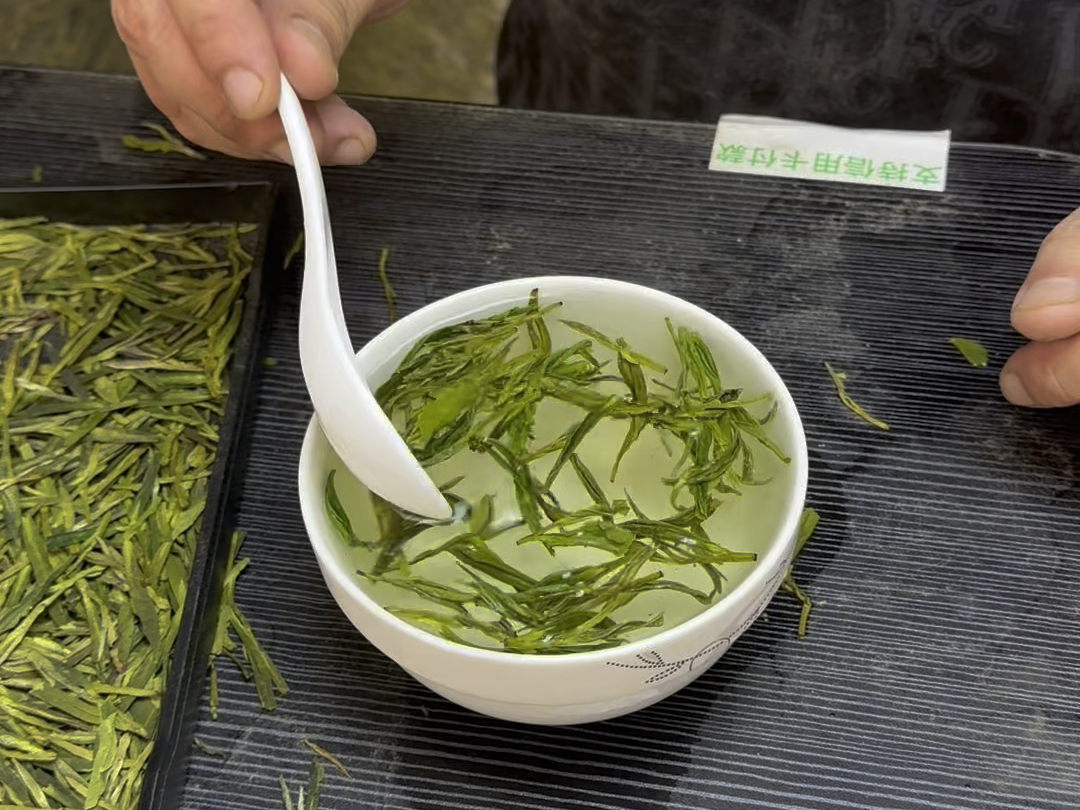 三亚新茶嫩茶去哪买？揭秘本地人私藏的3大避坑指南