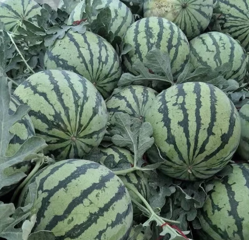 为何大圈外围价格差3倍？拆解费用构成与避坑指南