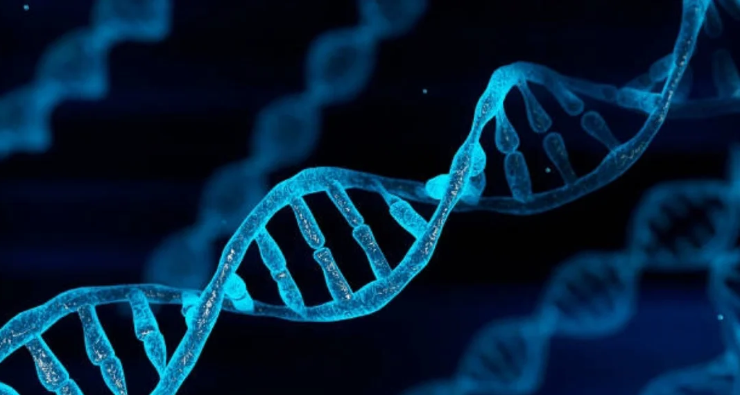 在站大街和小胡同的褶皱里，打捞老咸阳的烟火DNA